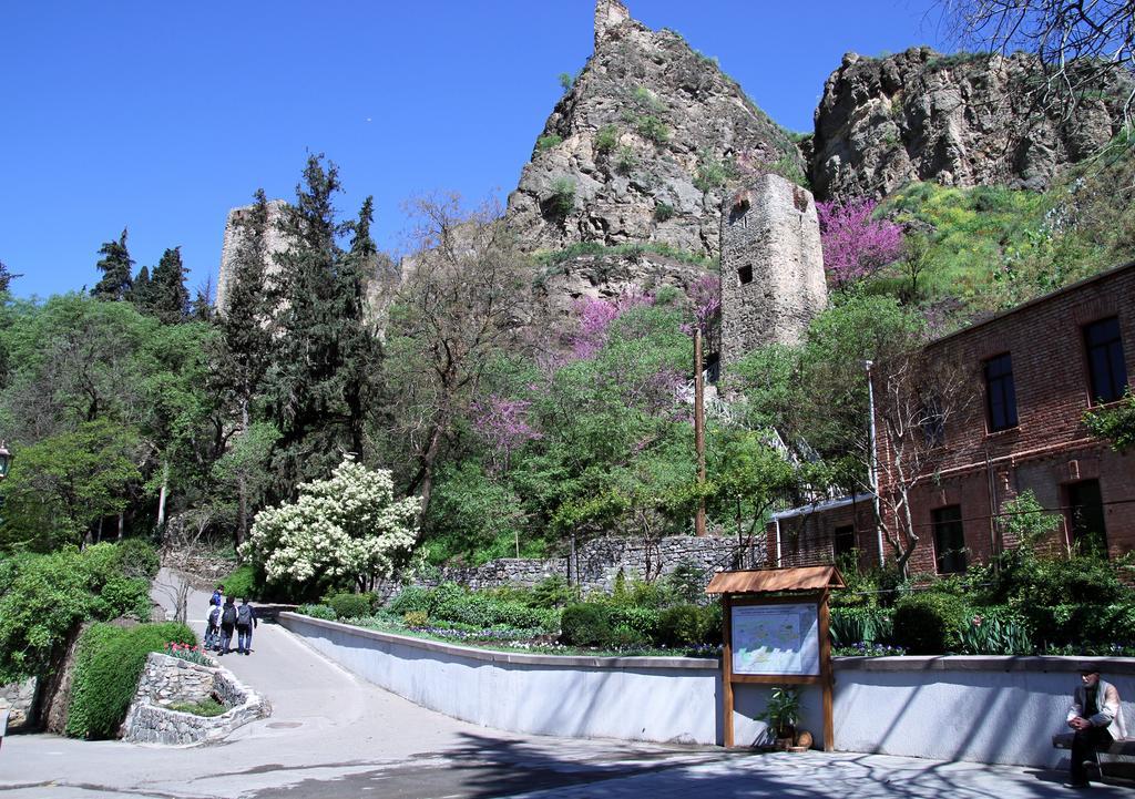 Apartment On Botanikuri Tbilisi Rum bild